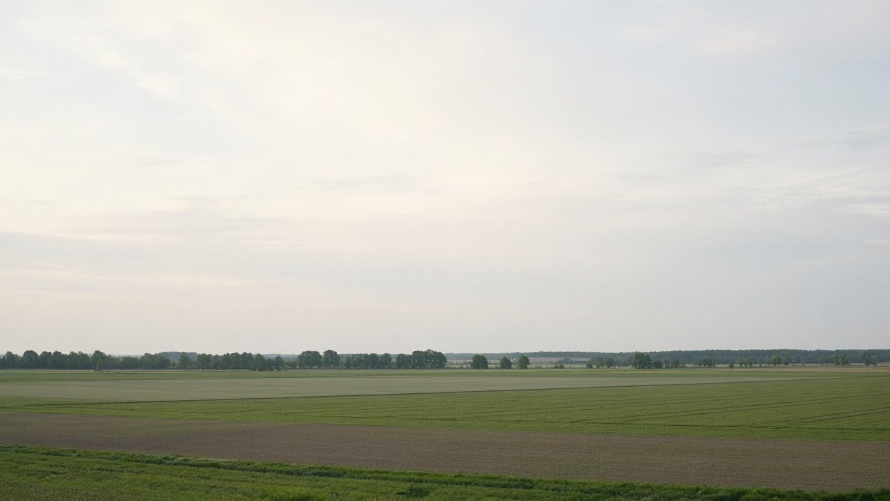Flache Uckermark-Landschaft mit Feld, Himmel und ferner Baumlinie
